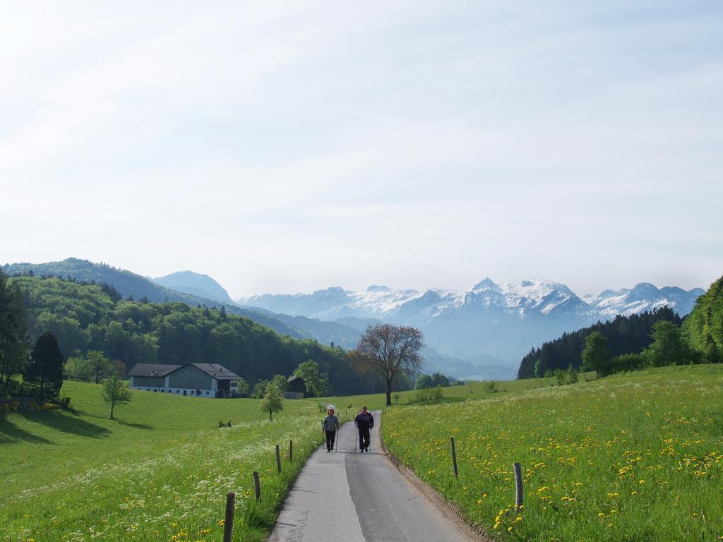 Neuwirt - Boutiquehotel & Wirtshaus Bad Vigaun Eksteriør billede